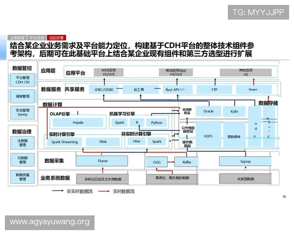 解析ag恒峰在数字化转型过程中的成功实践