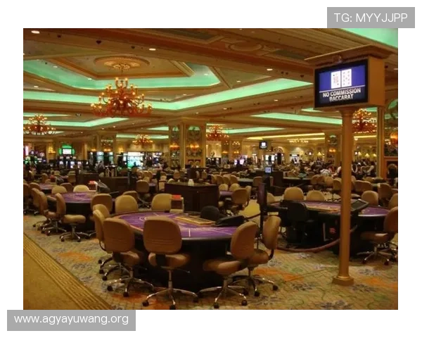 走进真人实体赌场，感受传统与现代的完美结合